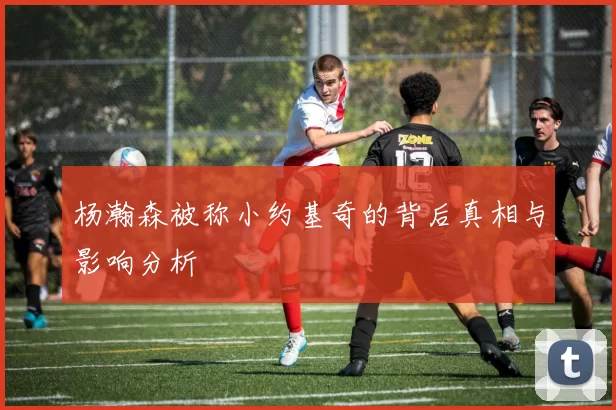 杨瀚森被称小约基奇的背后真相与影响分析