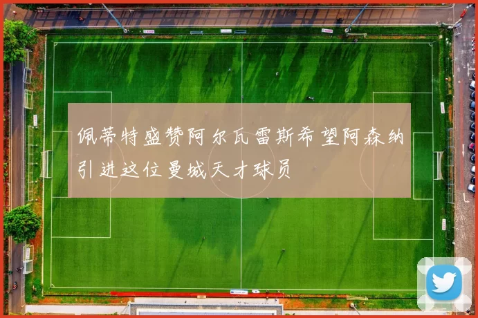 佩蒂特盛赞阿尔瓦雷斯希望阿森纳引进这位曼城天才球员