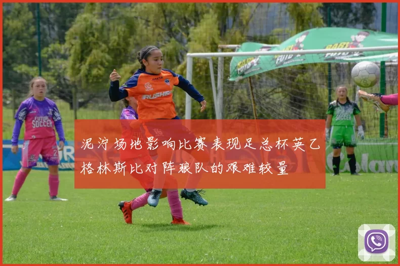 泥泞场地影响比赛表现足总杯英乙格林斯比对阵狼队的艰难较量