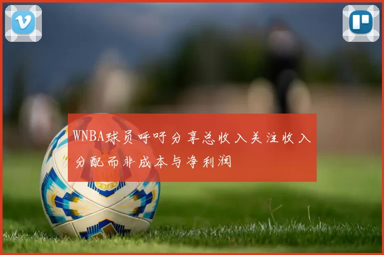 WNBA球员呼吁分享总收入关注收入分配而非成本与净利润